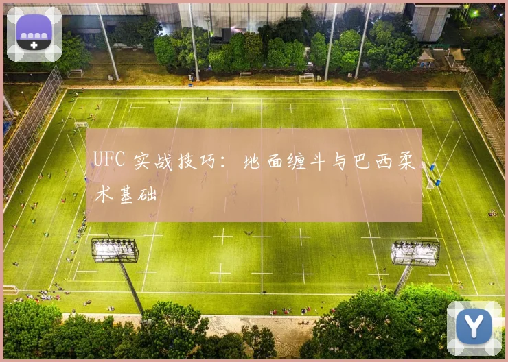 UFC 实战技巧：地面缠斗与巴西柔术基础