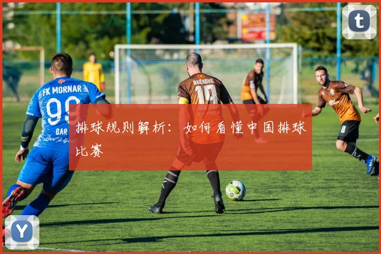 排球规则解析：如何看懂中国排球比赛